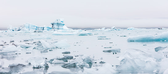 Image showing Jokulsarlon is a large glacial lake in southeast Iceland