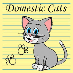 Image showing Domestic Cats Shows Family Kitty And Pedigree