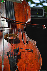 Image showing Contrabass