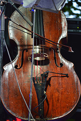 Image showing Contrabass