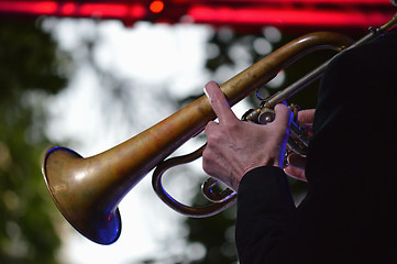 Image showing Trumpet