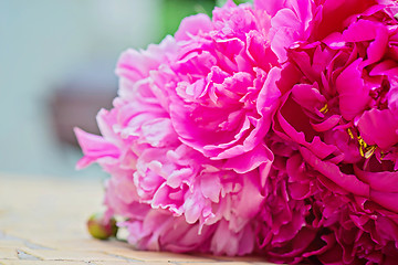 Image showing Macro shot of pink peony flowers