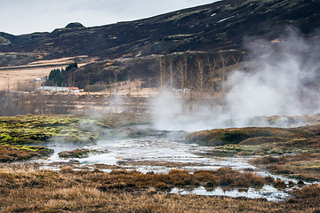 Image showing Geothermal swamp in icelandic nature