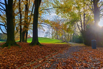 Image showing Colorful autumn park