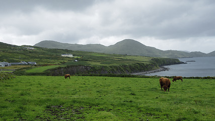 Image showing Irish coast landscape