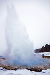 Image showing Strokkur erupting