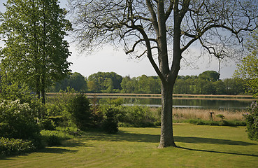 Image showing Garden with view.