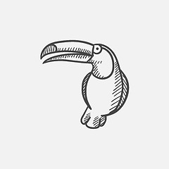 Image showing Toucan sketch icon.