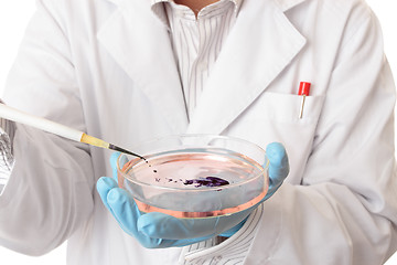 Image showing Pipette and petri dish