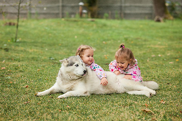 Image showing The two little baby girls playing with dog against green grass