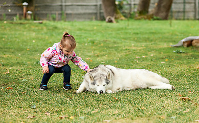 Image showing The little baby girl playing with dog against green grass