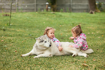 Image showing The two little baby girls playing with dog against green grass