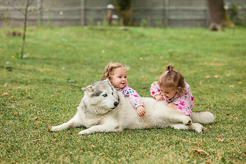 Image showing The two little baby girls playing with dog against green grass