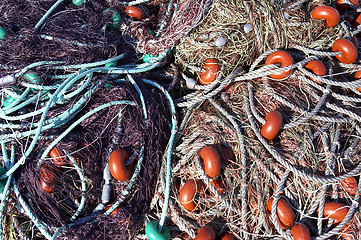 Image showing Fishing nets out to dry