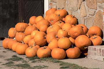 Image showing Ripe autumn pumpkins on the farm