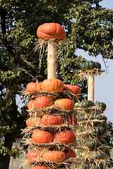 Image showing Ripe autumn pumpkins arranged on totem