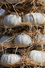 Image showing Ripe autumn pumpkins arranged on totem