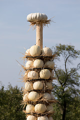 Image showing Ripe autumn pumpkins arranged on totem