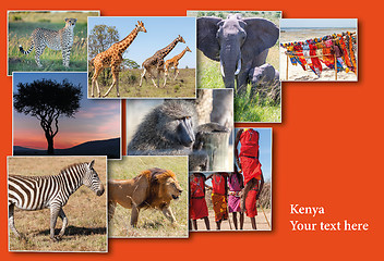 Image showing Wildlife and beautiful sunset at the Kenya.