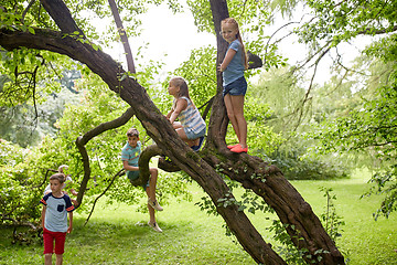 Image showing happy kids climbing up tree in summer park