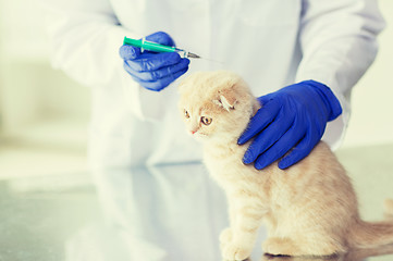 Image showing close up of vet making vaccine to kitten at clinic