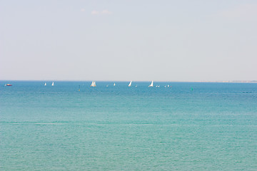 Image showing Regatta