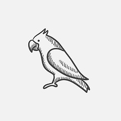 Image showing Parrot sketch icon.