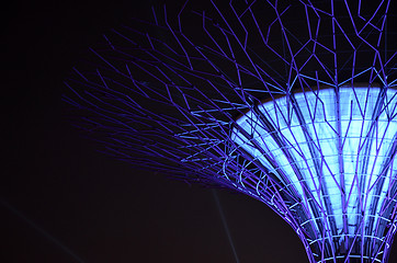 Image showing Supertree Grove, Gardens by the Bay in Singapore