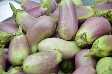 Image showing Raw ripe Eggplant
