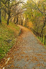 Image showing Autumn park path