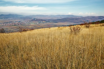 Image showing Dry autumn meadow