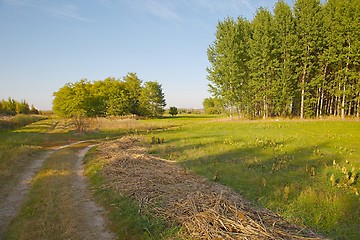 Image showing Barren field in the countryside