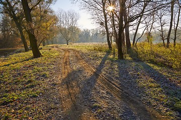 Image showing Autumn morning landscape