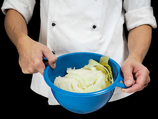 Image showing Freshly made boiled parted cabbage in a colander, held by chef i