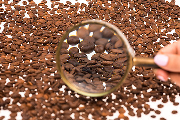 Image showing Female hand keepig magnifying glass over the coffee beans