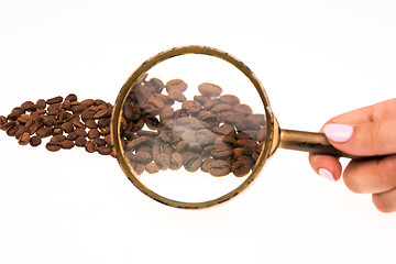 Image showing Female hand keepig magnifying glass over the coffee beans