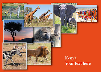 Image showing Collage from images of wildlife and beautiful sunset in the Kenya Africa.