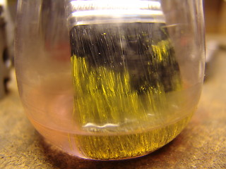 Image showing Brush in a bottle