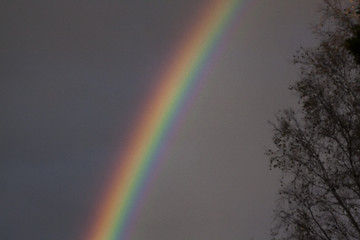 Image showing rainbow