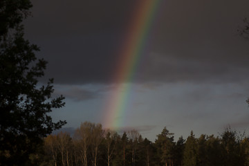 Image showing rainbow