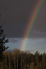 Image showing rainbow