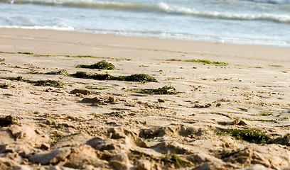 Image showing Wild beach