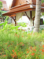 Image showing nature and resort