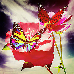 Image showing Beautiful Flower and butterfly against the sky . 3D illustration