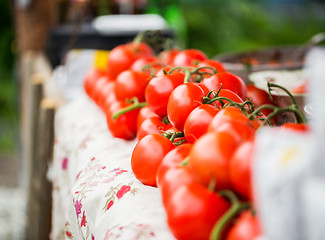 Image showing close up of ripe red tomatoes at street market