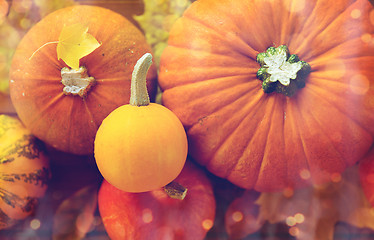 Image showing close up of pumpkins on wooden table at home