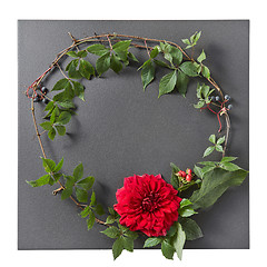 Image showing round frame of branches and red rose