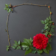 Image showing Fresh red rose frame border isolated