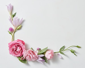 Image showing beautiful roses frame