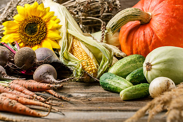 Image showing Pumpkin and harvest vegetables